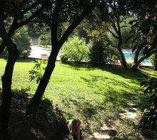 Bienvenue en Provence